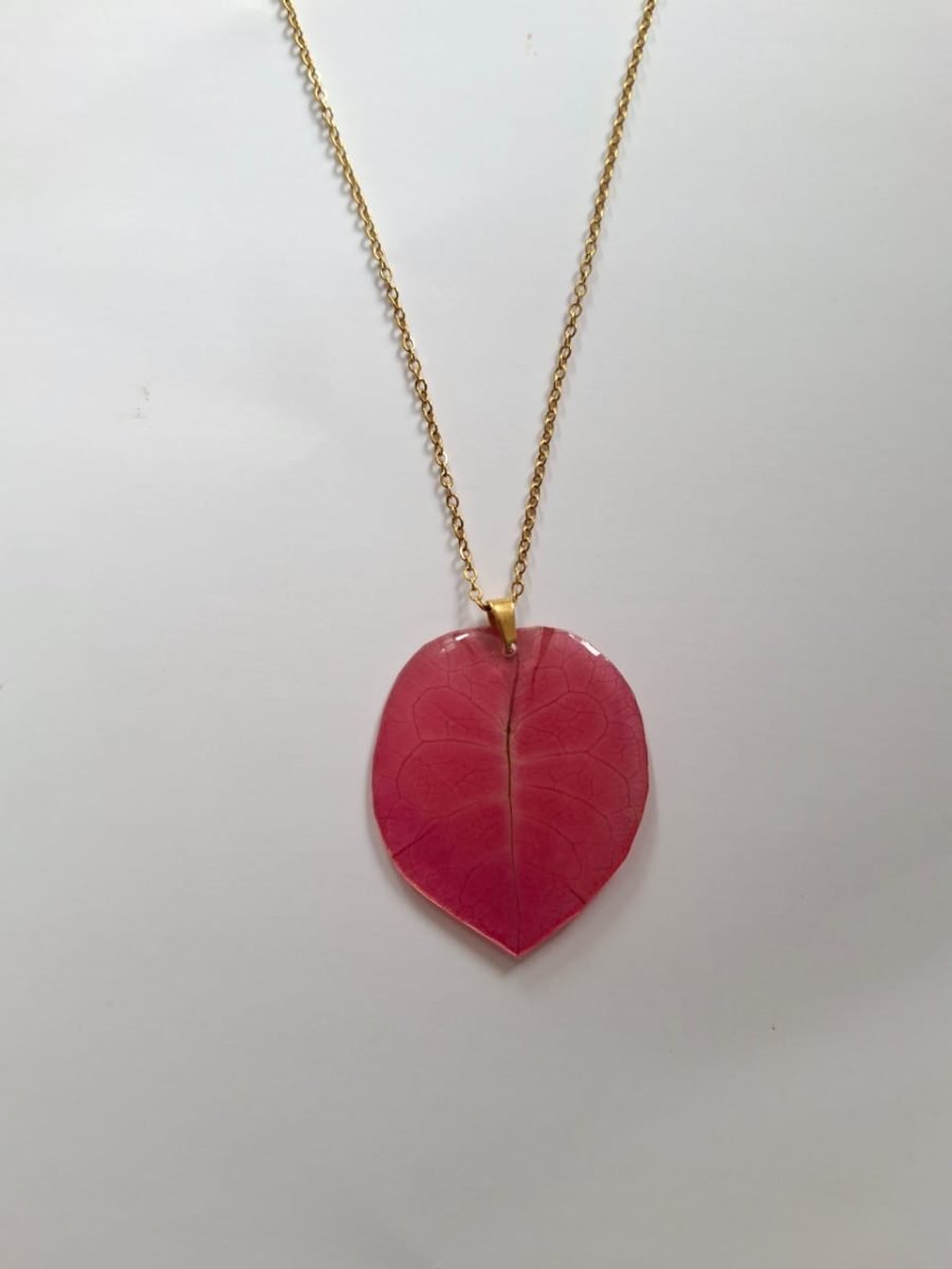 4a50f98c-628a-4c97-8cea-2fa0917146a6 (1)